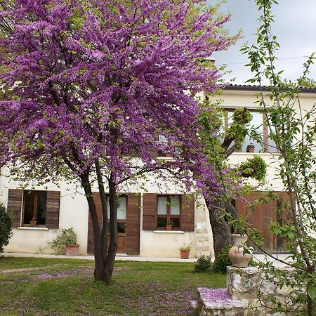 B&B Alte Paderno del Grappa Zewnętrze zdjęcie