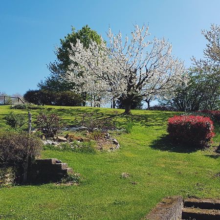 B&B Alte Paderno del Grappa Zewnętrze zdjęcie