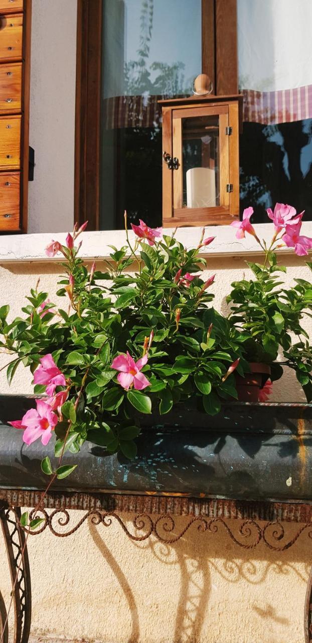 B&B Alte Paderno del Grappa Zewnętrze zdjęcie